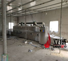 如何用微波干燥设备干燥干果价格,产品报价